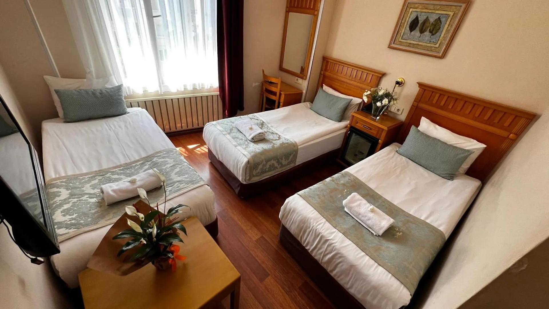 ***  Park Star Hotel Taksim Istanbulská provincie Turecko