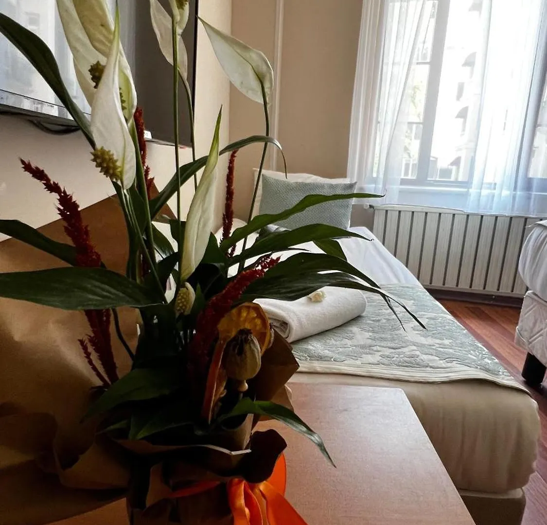 Park Star Hotel Taksim Стамбул