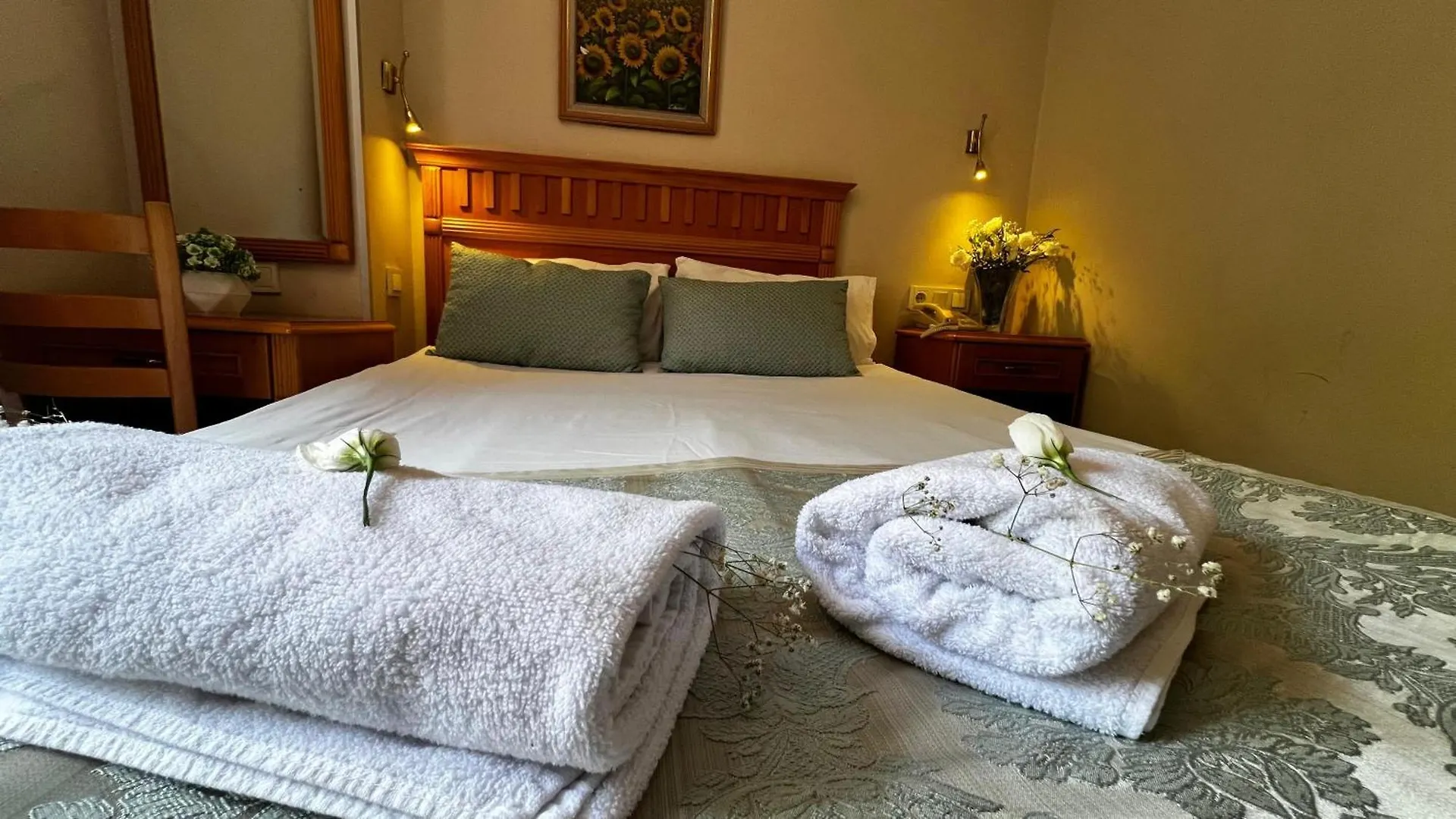 Park Star Hotel Taksim Стамбул