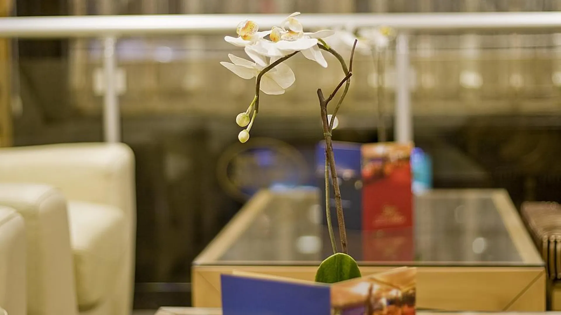 Park Star Hotel Taksim Стамбул
